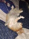 Filename=20251105_002.jpg
Filesize=857KiB
Dimensions=2047x2730
Date added=Aug 29, 2026 20251105_002.jpg