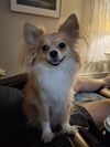 Filename=20251115_001.jpg
Filesize=412KiB
Dimensions=2047x2730
Date added=Aug 29, 2026 20251115_001.jpg