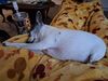 Filename=20251127_002.jpg
Filesize=474KiB
Dimensions=2048x1536
Date added=Aug 29, 2026 20251127_002.jpg