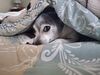 Filename=20251201_001.jpg
Filesize=419KiB
Dimensions=2048x1536
Date added=Aug 29, 2026 20251201_001.jpg