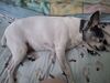 Filename=20251201_003.jpg
Filesize=393KiB
Dimensions=2048x1536
Date added=Aug 29, 2026 20251201_003.jpg