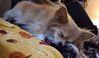 Filename=20251202_001.jpg
Filesize=240KiB
Dimensions=2047x1195
Date added=Aug 29, 2026 20251202_001.jpg