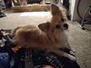 Filename=20251206_001.jpg
Filesize=432KiB
Dimensions=2048x1536
Date added=Aug 29, 2026 20251206_001.jpg