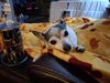 Filename=20251213_004.jpg
Filesize=398KiB
Dimensions=2048x1536
Date added=Aug 29, 2026 20251213_004.jpg