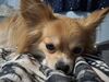 Filename=20251225_001.jpg
Filesize=425KiB
Dimensions=2048x1536
Date added=Aug 29, 2026 20251225_001.jpg