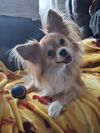 Filename=20251225_086.jpg
Filesize=687KiB
Dimensions=2047x2730
Date added=Aug 29, 2026 20251225_086.jpg