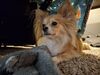 Filename=20251226_022.jpg
Filesize=339KiB
Dimensions=2048x1536
Date added=Aug 30, 2026 20251226_022.jpg