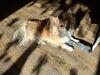 Filename=20251228_001.jpg
Filesize=818KiB
Dimensions=2048x1536
Date added=Aug 30, 2026 20251228_001.jpg