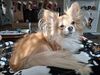 Filename=20251231_003.jpg
Filesize=527KiB
Dimensions=2048x1536
Date added=Aug 30, 2026 20251231_003.jpg