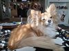 Filename=20251231_004.jpg
Filesize=533KiB
Dimensions=2048x1536
Date added=Aug 30, 2026 20251231_004.jpg