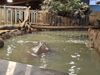 Filename=20260101_010.jpg
Filesize=551KiB
Dimensions=2048x1536
Date added=Aug 30, 2026 20260101_010.jpg