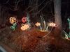 Filename=20260101_027.jpg
Filesize=568KiB
Dimensions=2048x1536
Date added=Aug 30, 2026 20260101_027.jpg