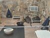 Filename=20260101_033.jpg
Filesize=533KiB
Dimensions=2048x1536
Date added=Aug 30, 2026 20260101_033.jpg