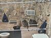 Filename=20260101_034.jpg
Filesize=544KiB
Dimensions=2048x1536
Date added=Aug 30, 2026 20260101_034.jpg