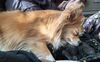 Filename=20260105_001.jpg
Filesize=406KiB
Dimensions=2046x1269
Date added=Aug 30, 2026 20260105_001.jpg
