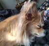 Filename=20260105_002.jpg
Filesize=475KiB
Dimensions=2047x1952
Date added=Aug 30, 2026 20260105_002.jpg
