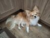 Filename=20260109_001.jpg
Filesize=556KiB
Dimensions=2048x1536
Date added=Aug 30, 2026 20260109_001.jpg