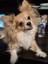 Filename=20260110_002.jpg
Filesize=558KiB
Dimensions=2047x2730
Date added=Aug 30, 2026 20260110_002.jpg