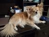 Filename=20260110_003.jpg
Filesize=469KiB
Dimensions=2048x1536
Date added=Aug 30, 2026 20260110_003.jpg