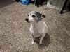 Filename=20260110_004.jpg
Filesize=718KiB
Dimensions=2048x1536
Date added=Aug 30, 2026 20260110_004.jpg