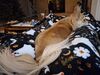 Filename=20260113_001.jpg
Filesize=440KiB
Dimensions=2048x1536
Date added=Aug 30, 2026 20260113_001.jpg