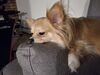 Filename=20260113_002.jpg
Filesize=399KiB
Dimensions=2048x1536
Date added=Aug 30, 2026 20260113_002.jpg