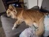 Filename=20260113_003.jpg
Filesize=478KiB
Dimensions=2048x1536
Date added=Aug 30, 2026 20260113_003.jpg