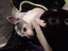 Filename=20260116_003.jpg
Filesize=384KiB
Dimensions=2048x1536
Date added=Aug 30, 2026 20260116_003.jpg