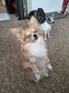 Filename=20260118_002.jpg
Filesize=884KiB
Dimensions=2047x2730
Date added=Aug 30, 2026 20260118_002.jpg