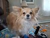 Filename=20260125_001.jpg
Filesize=402KiB
Dimensions=2048x1536
Date added=Aug 30, 2026 20260125_001.jpg