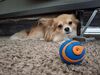 Filename=20260207_002.jpg
Filesize=466KiB
Dimensions=2048x1536
Date added=Sep 01, 2026 20260207_002.jpg